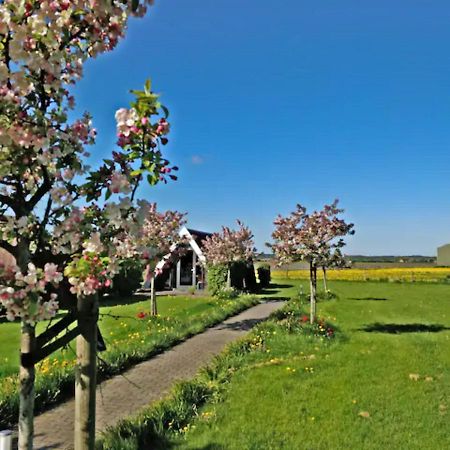 Hotelhuisje Warmenhuizen #D Kültér fotó